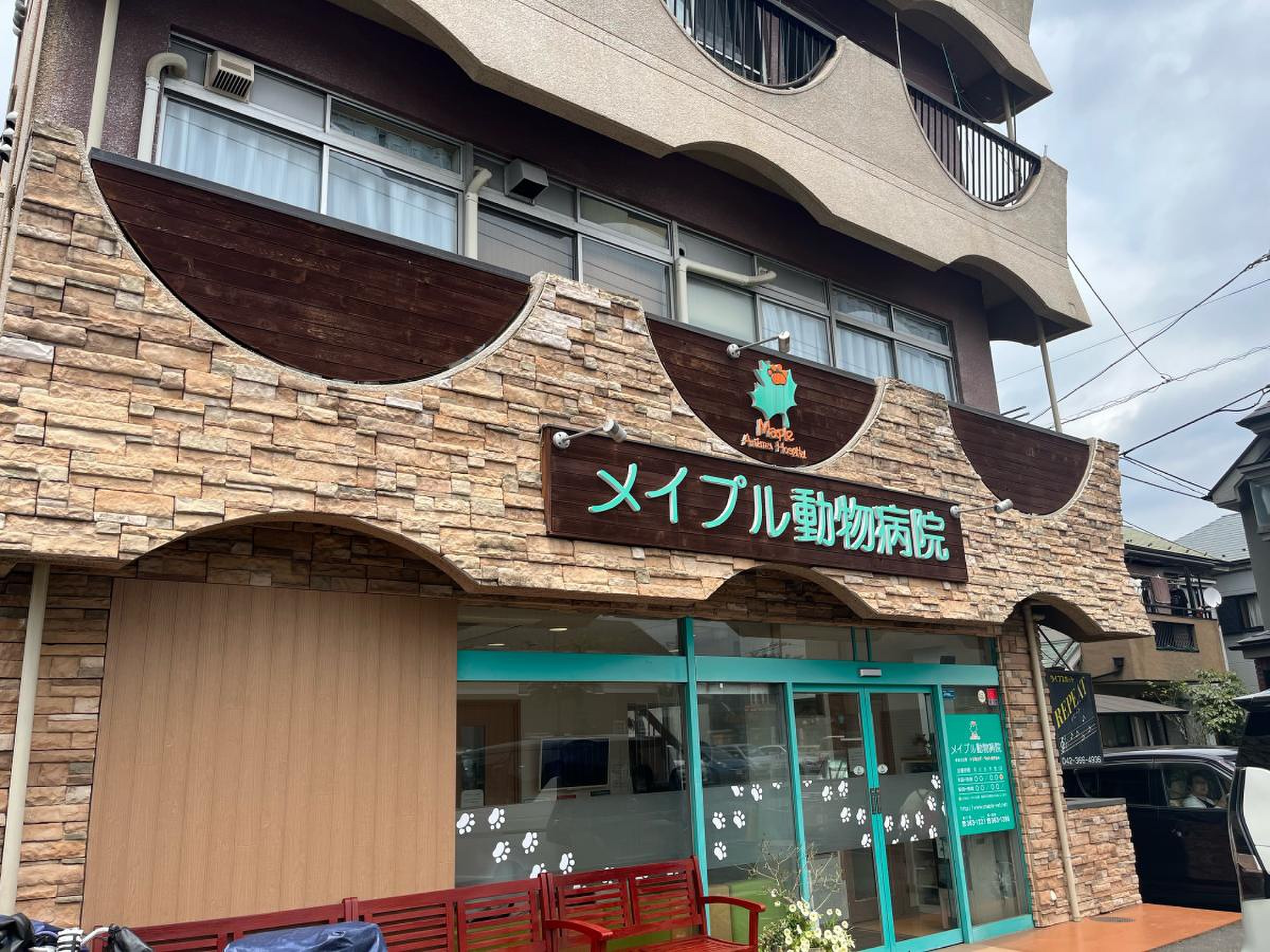 メイプル 動物 病院