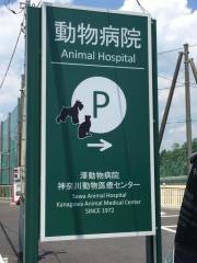 澤動物病院神奈川動物医療センター