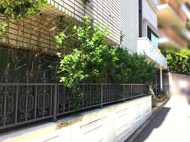 せらび有栖川