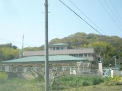 シラユリ