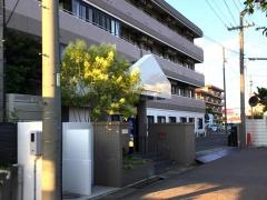 シンシア勝川