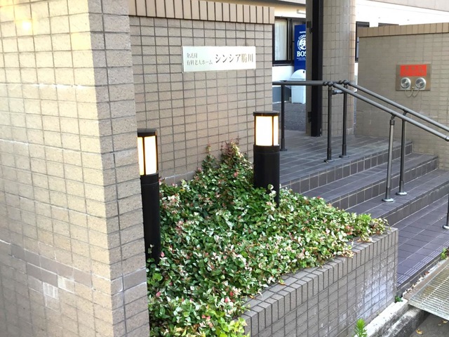 シンシア勝川
