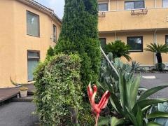 伊豆シャボテンヴィレッジプチホテル