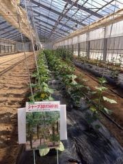 宮城県伊具高等学校