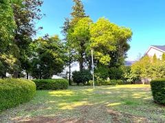 仲島緑地公園