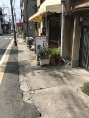 葵