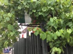 リストランテ・ラ・チェーナ