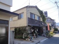 花遊