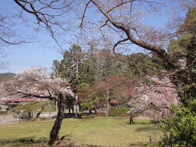 施設写真12