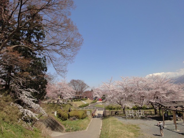 施設写真11