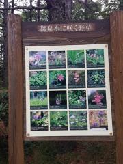 御泉水自然園