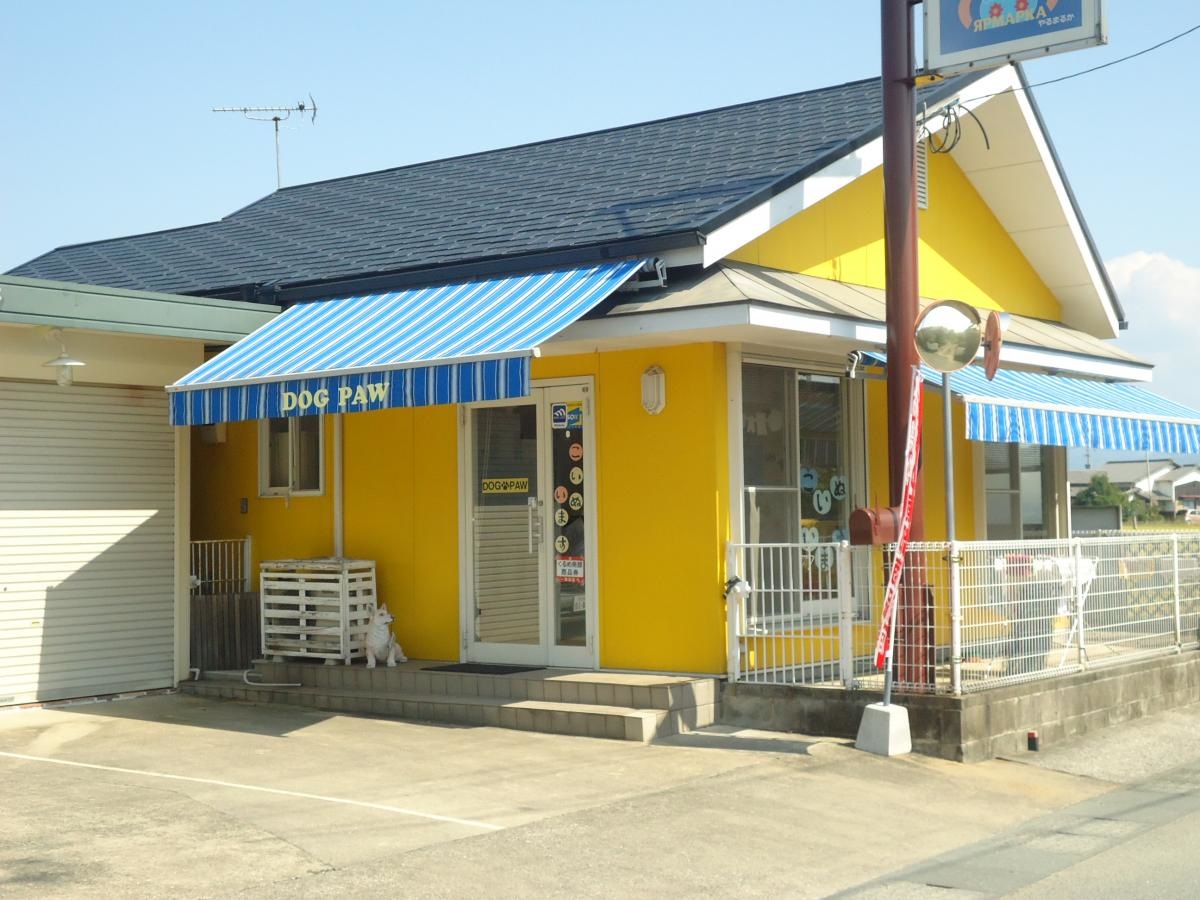 ドッグパウ