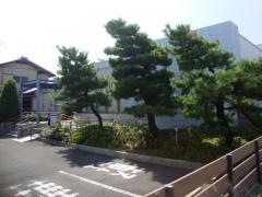 野口内科