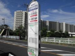 「日野橋南詰」バス停留所