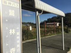 「鷲林寺」バス停留所