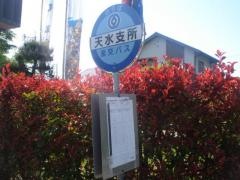 「天水総合支所」バス停留所