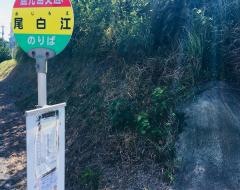「尾白江」バス停留所