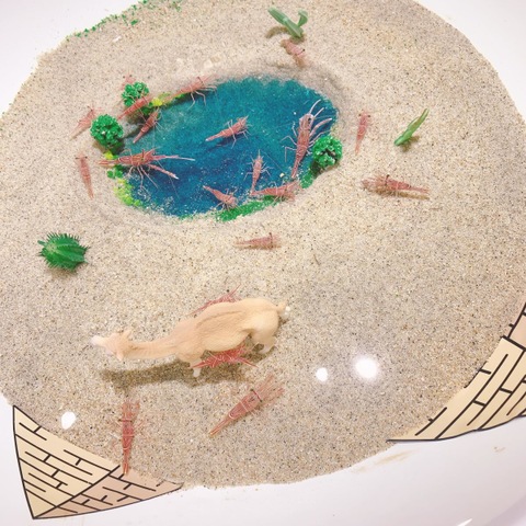 施設写真26