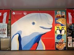 宮島水族館