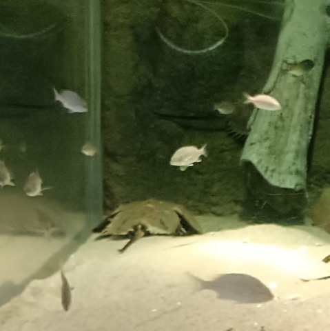 施設写真9