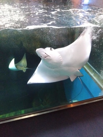 施設写真40
