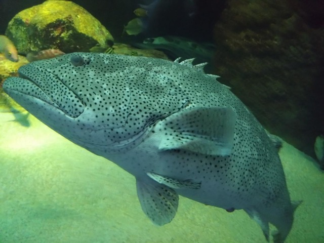 施設写真38