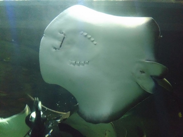 施設写真34