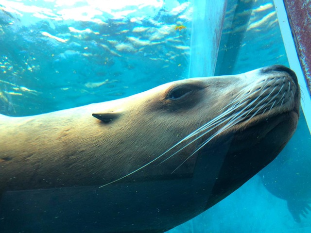 施設写真137