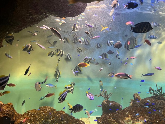 施設写真24