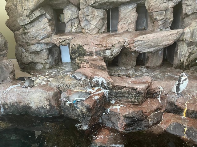 施設写真23