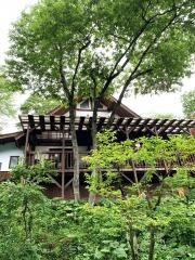 もみじ野