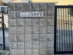 こもれびII