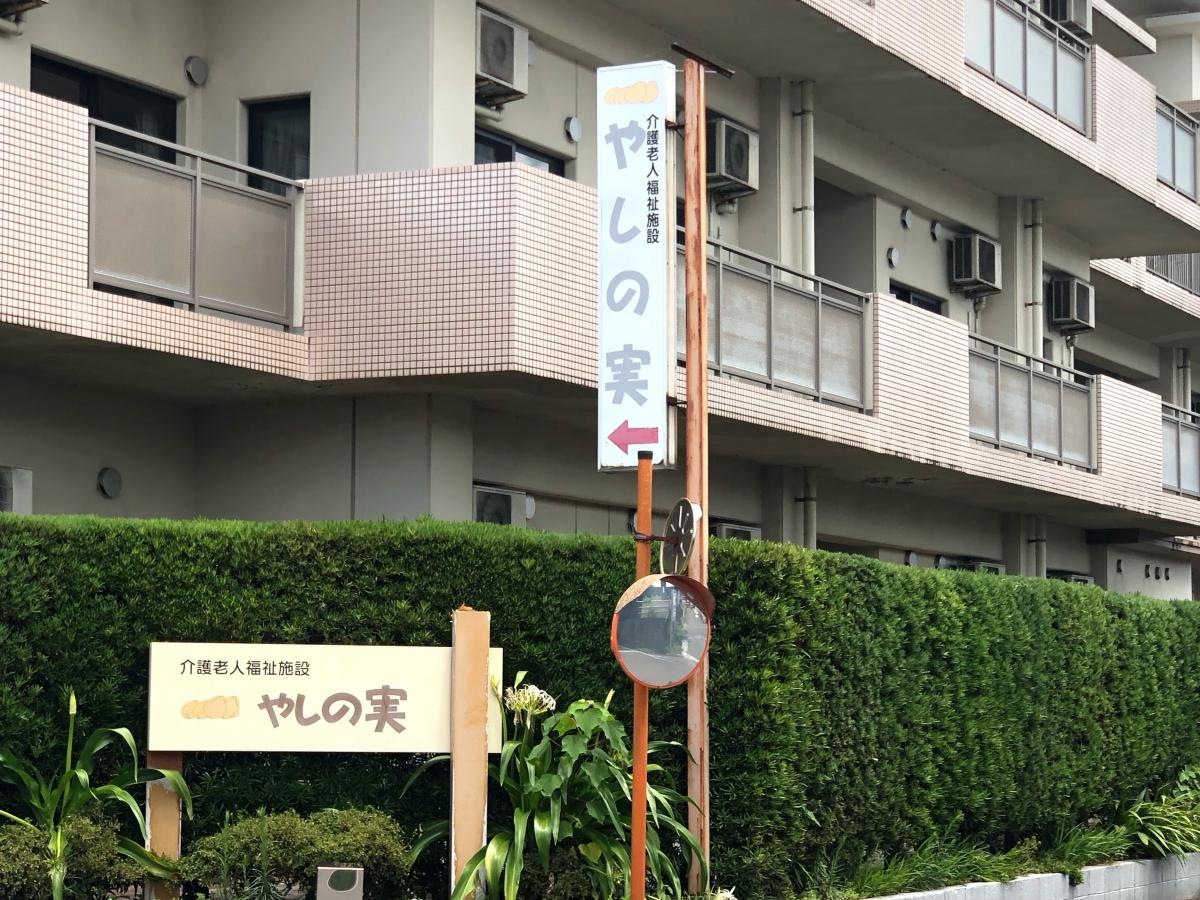 やしの実