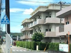 やしの実