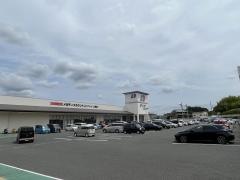 ディオ上牧店