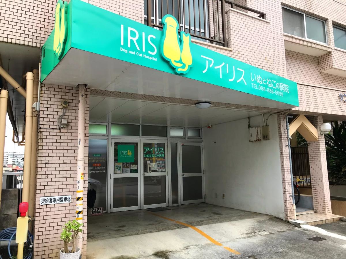アイリス動物病院