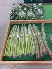 わくわく広場　アビイクオーレ店