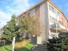 弥生小学校