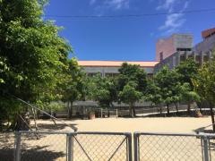 さつき小学校