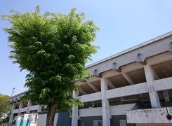 伊勢崎市華蔵寺公園陸上競技場
