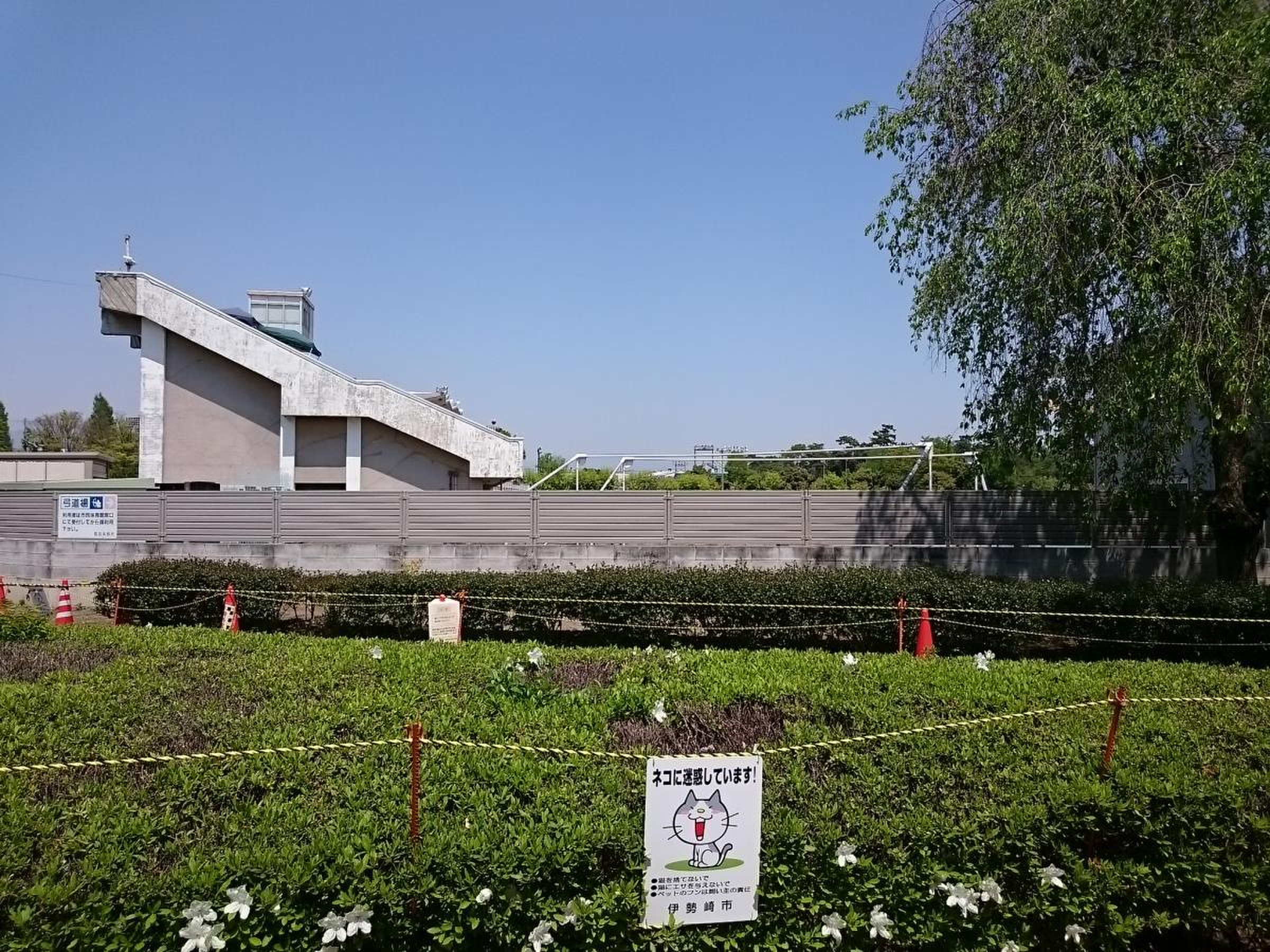 伊勢崎 市 陸上 競技 場