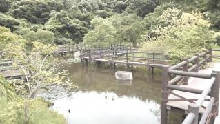 井吹第5号公園