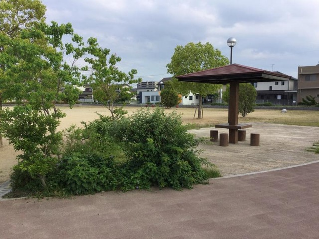 投稿写真1