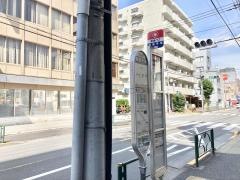 「堀越学園」バス停留所