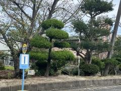 石並園