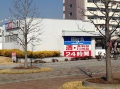 ビッグ・エー　幸手団地店