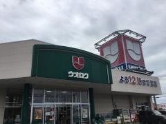 ウオロク女池店
