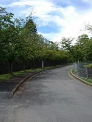 大和郡山市立郡山中学校