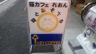 猫カフェれおん