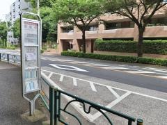 「泉竜寺」バス停留所